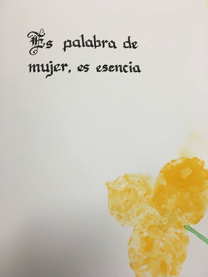 13507273_10153746265341586_8261954138636465516_n