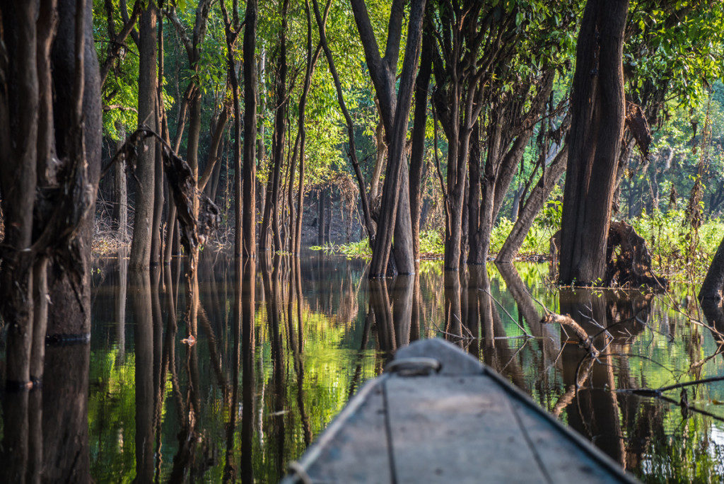 7.-Selva-Amazonas-bosque-inundado-Brasil-1024x684