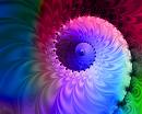Espiral